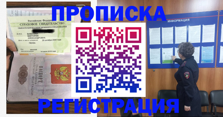 прописка 2025 в Кольчугино